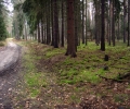 11.km