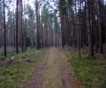 9.km